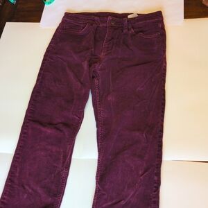 Patagonia Corduroy Pants